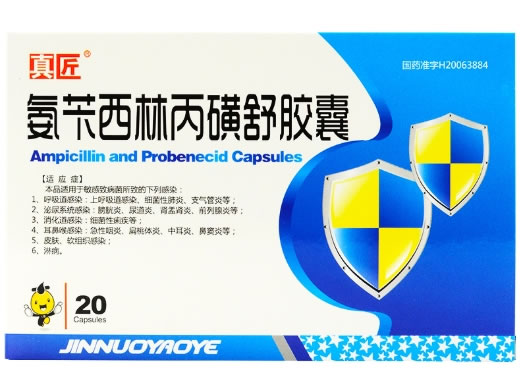 真匠氨苄西林丙磺舒胶囊招商代理 20粒 吉林省金诺