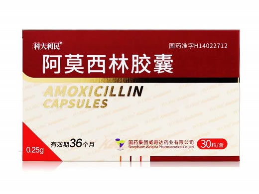 科大利民阿莫西林胶囊招商代理 30粒 国药集团