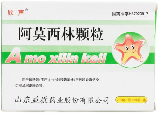阿莫西林颗粒招商代理 10袋 益康药业