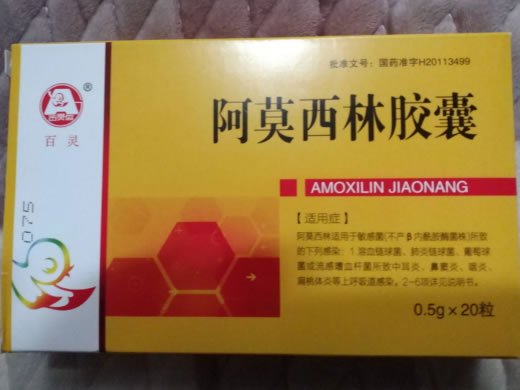 阿莫西林胶囊招商代理 20粒 四川峨嵋山
