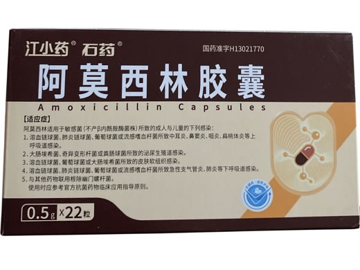 江小药/石药阿莫西林胶囊招商代理 22粒