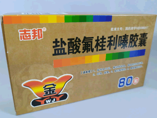 志邦盐酸氟桂利嗪胶囊招商代理 80粒