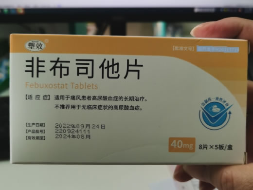 塑效非布司他片招商代理 40片