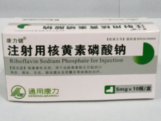 康力健/通用康力注射用核黄素磷酸钠招商代理 10瓶