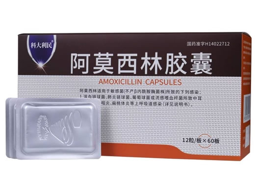 科大利民阿莫西林胶囊招商代理 720片