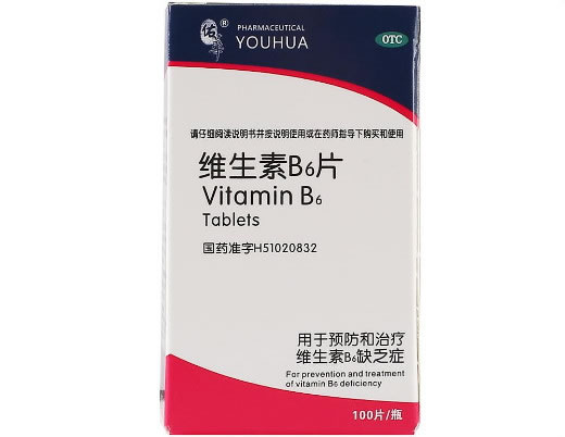 佑华维生素B6片招商代理 100片