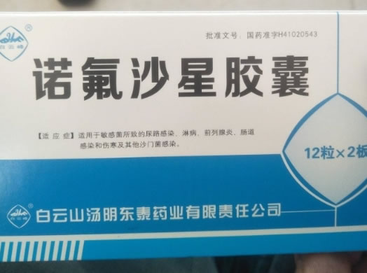 诺氟沙星胶囊招商代理 24粒 白云山汤阴东泰