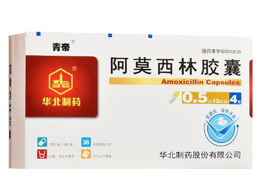 青帝阿莫西林胶囊招商代理 0.5g*48粒