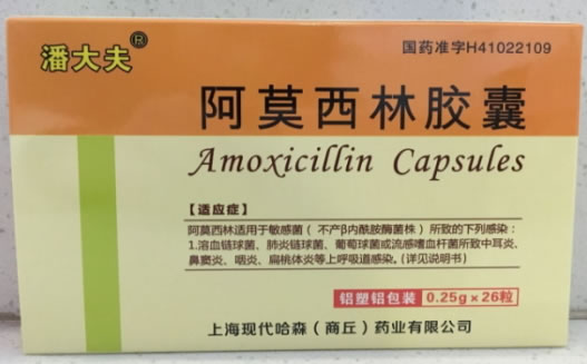 潘大夫阿莫西林胶囊招商代理 26粒