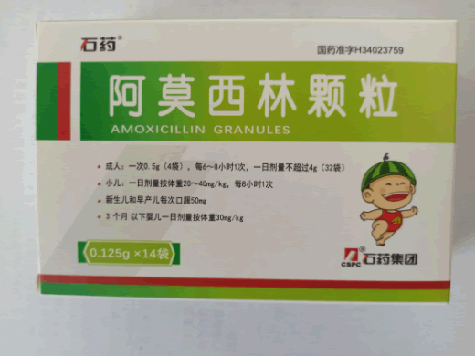 石药阿莫西林颗粒招商代理 14袋 金芙蓉药业