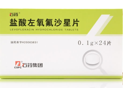 石药盐酸左氧氟沙星片招商代理 24片