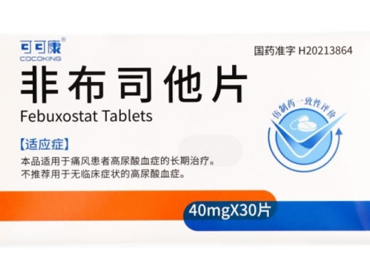 可可康非布司他片招商代理 30片