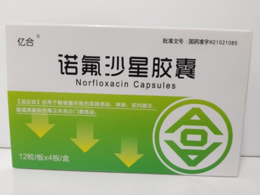 亿合诺氟沙星胶囊招商代理 48粒