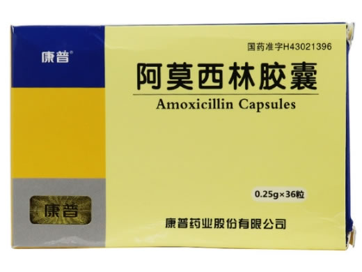康普阿莫西林胶囊招商代理 0.25g*36粒