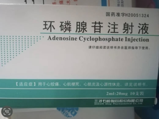 环磷腺苷注射液招商代理 20mg*10支 三才