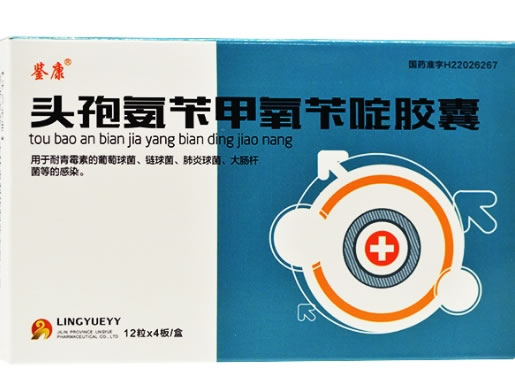 鉴康头孢氨苄甲氧苄啶胶囊招商代理 48粒