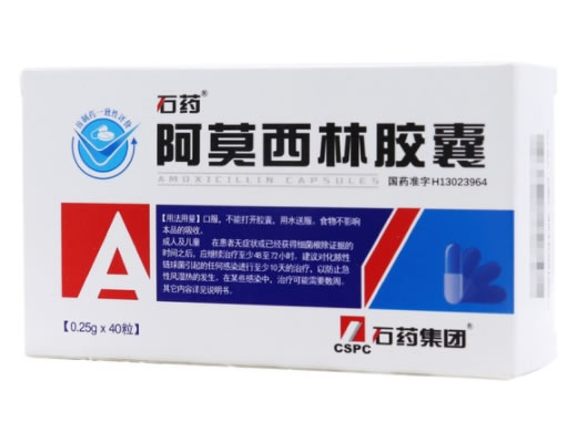 石药阿莫西林胶囊招商代理 40粒 石药