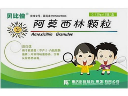 贝比佳阿莫西林颗粒招商代理 12袋 科瑞制药