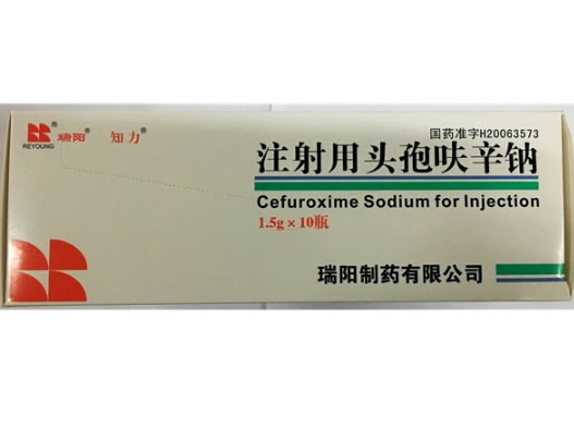 瑞阳/知力注射用头孢呋辛钠招商代理 10瓶