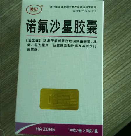 哈总诺氟沙星胶囊招商代理 50粒 哈总