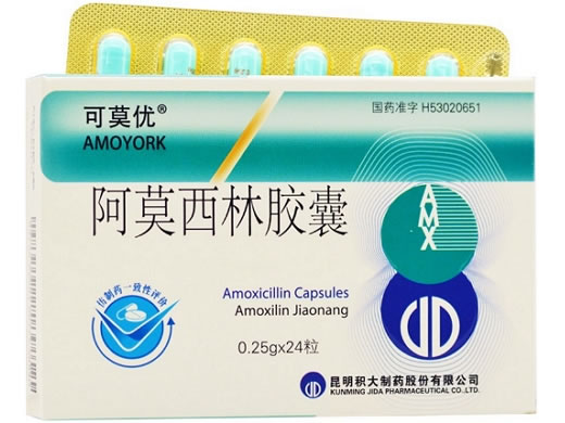 可莫优阿莫西林胶囊招商代理 24粒 昆明积大制药