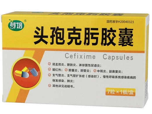 芽培/勤克沃头孢克肟胶囊招商代理 7粒