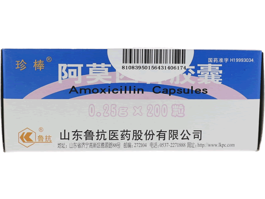珍棒阿莫西林胶囊招商代理 珍棒 200粒