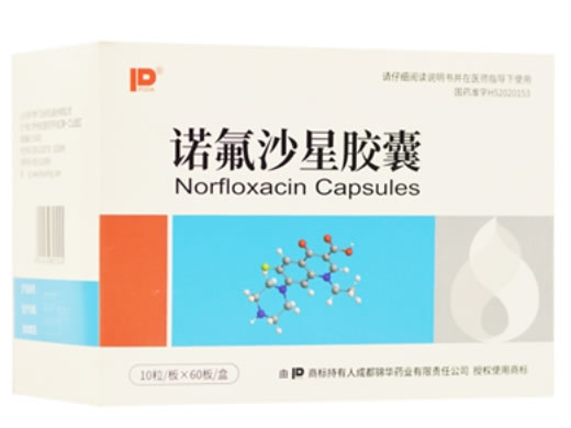 诺氟沙星胶囊招商代理 600粒 贵州飞云岭