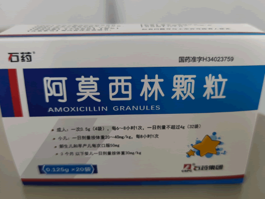 石药阿莫西林颗粒招商代理 20袋 金芙蓉