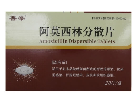 善举阿莫西林分散片招商代理 20片