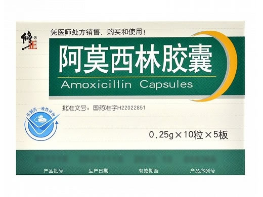 修正阿莫西林胶囊招商代理 50粒 通药制药