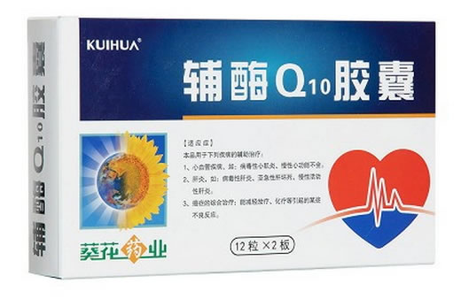 辅酶Q10胶囊招商代理 24片 葵花药业