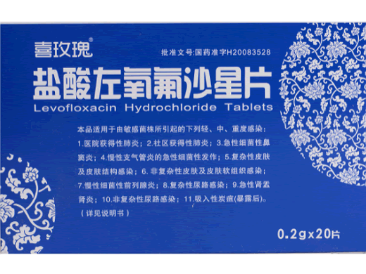 盐酸左氧氟沙星片招商代理 20片 同源药业