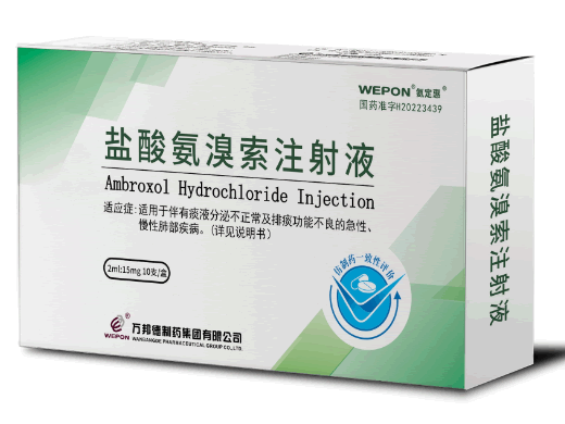 氮定惠盐酸氨溴索注射液招商代理 10支