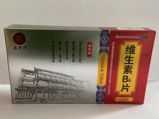 辰丰堂维生素B6片招商代理 105片