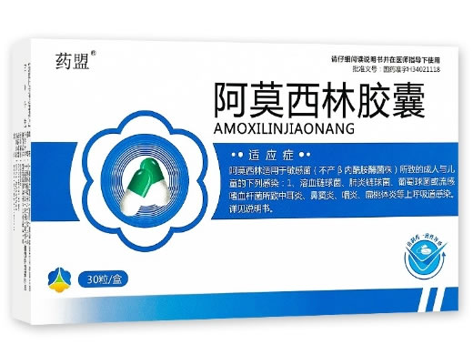 药盟阿莫西林胶囊招商代理 30粒