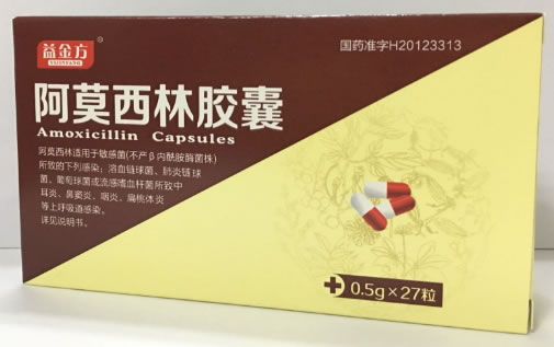 益金方阿莫西林胶囊招商代理 27粒