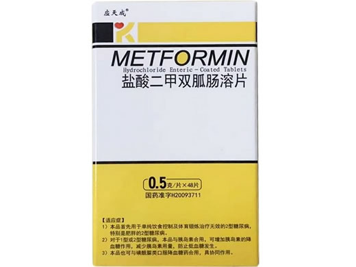 君士达新/应天成盐酸二甲双胍肠溶片招商代理 0.5g*48片