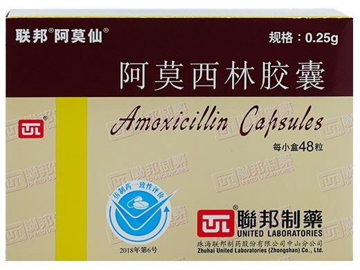 联邦/阿莫仙阿莫西林胶囊招商代理 48粒 珠海联邦