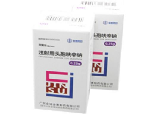 注射用头孢呋辛钠招商代理 0.25g 广东金城金素制药