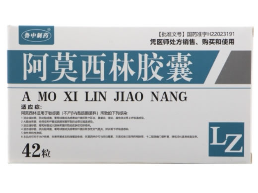 鲁中制药阿莫西林胶囊招商代理 0.25g*42粒