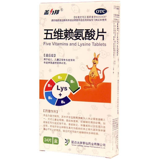 盖力邦五维赖氨酸片招商代理 24片 草仙药业