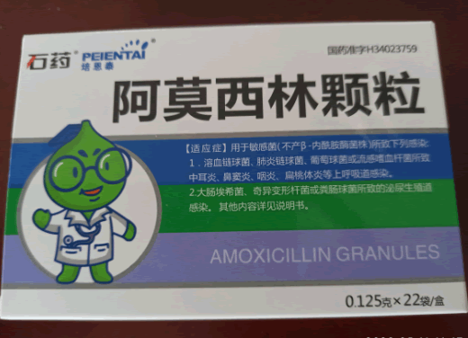 石药/培恩泰阿莫西林颗粒招商代理 22袋
