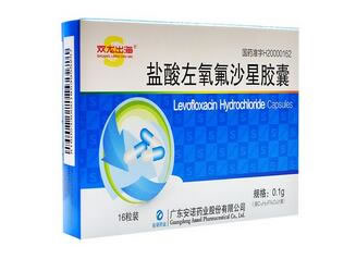 双龙出海盐酸左氧氟沙星胶囊招商代理 16粒