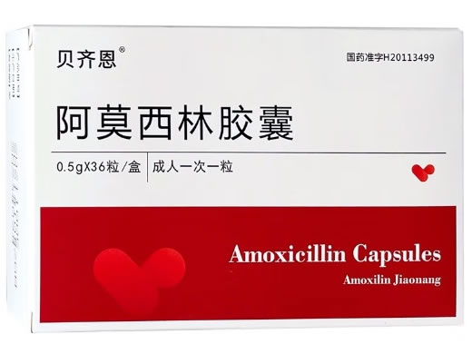 贝齐恩阿莫西林胶囊招商代理 0.5g*36粒