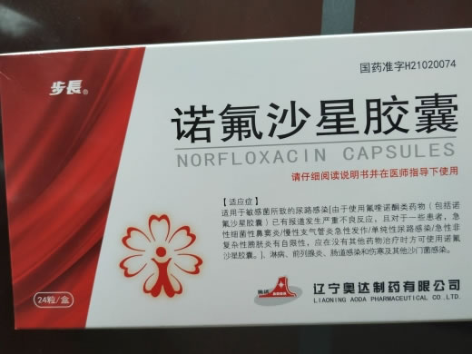 步长诺氟沙星胶囊招商代理 