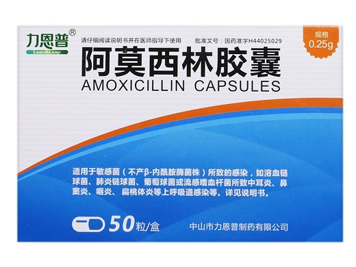 力恩普阿莫西林胶囊招商代理 力恩普 0.25g*50粒