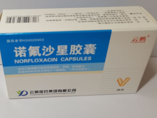 诺氟沙星胶囊