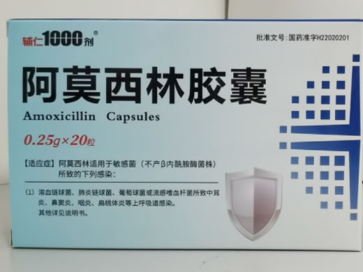 辅仁剂1000阿莫西林胶囊招商代理 20粒 金诺药业