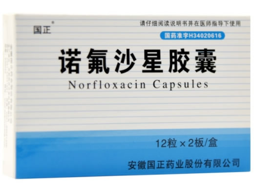 诺氟沙星胶囊招商代理 安徽国正